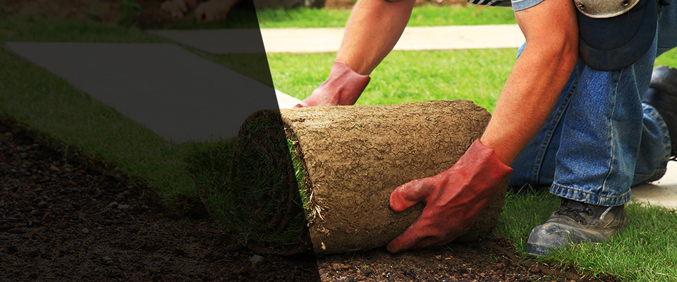 Brookwood Landscapers